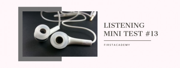 Listening Mini Test 13