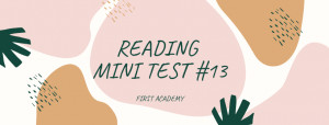 Reading Mini Test 13