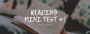 Reading Mini Test 01
